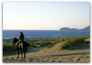 Marina di Arbus