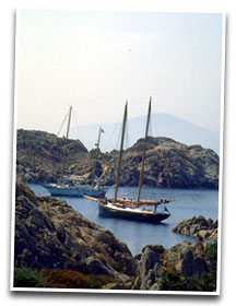 Boats in the coast