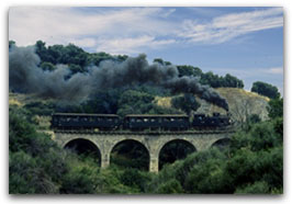 Small steam train