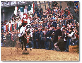 Images of the Sartiglia of Oristano