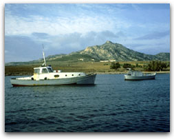 L'Asinara