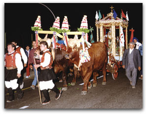 Images of the festival of Sant' Efisio