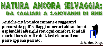 Una natura ancora selvaggia: da Cagliari a S.Giovanni di Sinis.