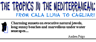 The Tropics in the Mediterranean: from Cala Luna to Cagliari.